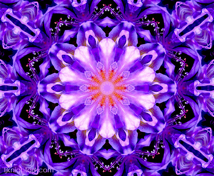 Purple abstract mandala art   by L.J. Knight