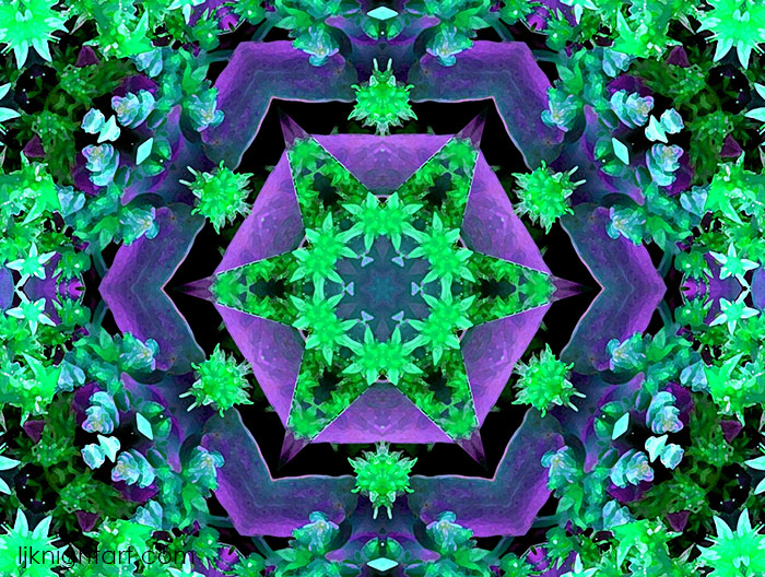 Purple and green abstract mandala art   by L.J. Knight