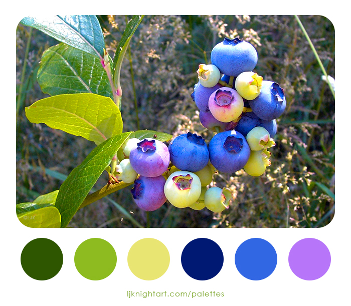 Blueberries colour palette by LJ Knight, in blue, green and purple