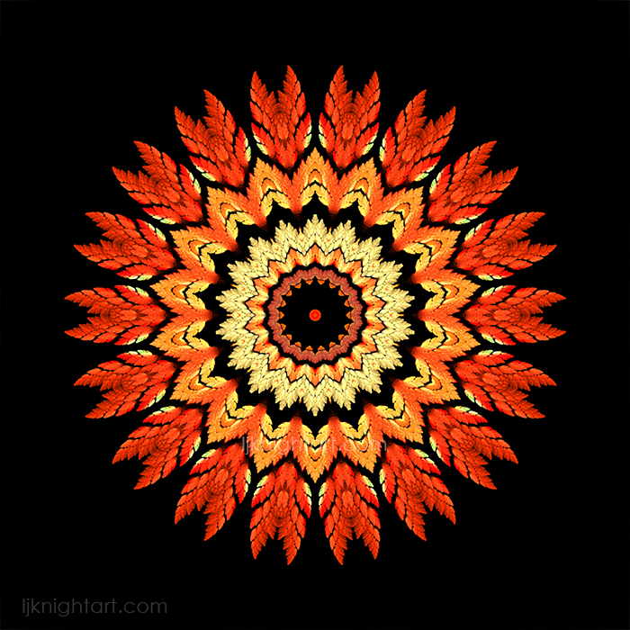 Orange and Black Feather Mandala  by L.J. Knight