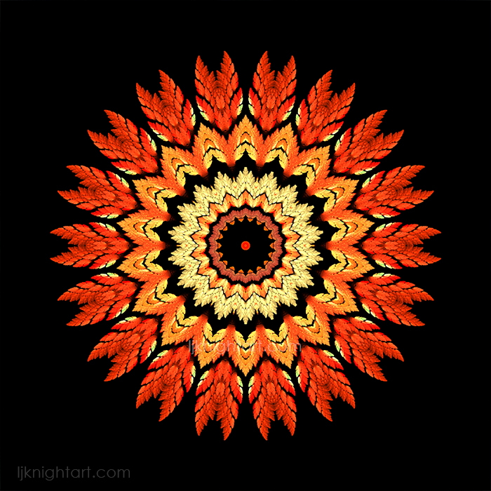 Orange and Black Feather Mandala  by L.J. Knight