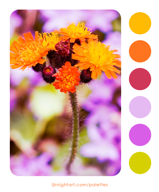 Orange and purple colour palette by LJ Knight
