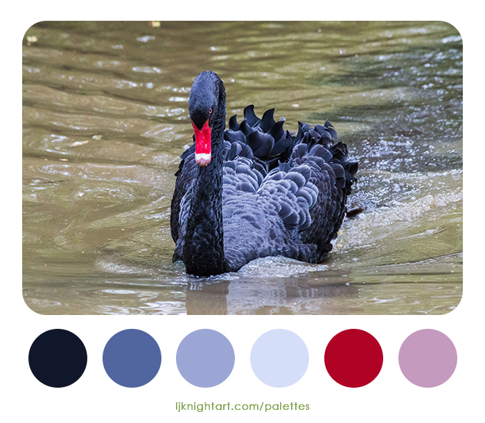 Black swan colour palette in red and grey by LJ Knight