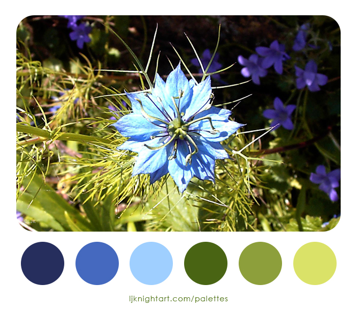 Blue Nigella flower colour palette by LJ Knight