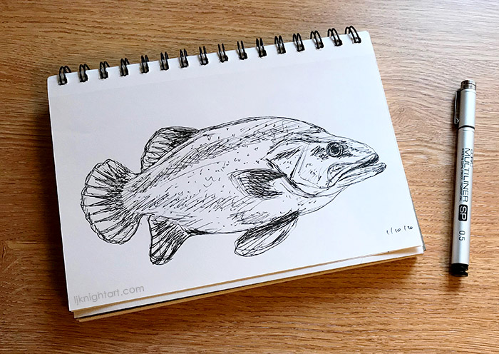 Rough fish sketch for Inktober 2020