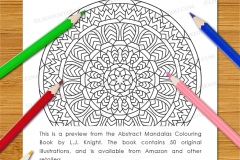Abstract Mandalas Colouring Book - Preview