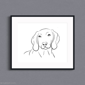 Weimaraner Dog Portrait Line Drawing