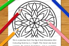 Big & Bold Mandalas Mini Colouring Book - Preview