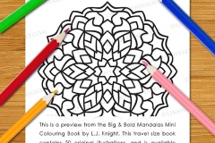 Big & Bold Mandalas Mini Colouring Book - Preview