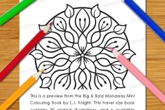 Big & Bold Mandalas Mini Colouring Book - Preview