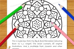 Big & Bold Mandalas Colouring Book - Preview