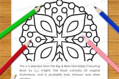 Big & Bold Mandalas Colouring Book - Preview