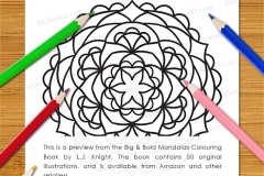 Big & Bold Mandalas Colouring Book - Preview