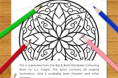 Big & Bold Mandalas Colouring Book - Preview