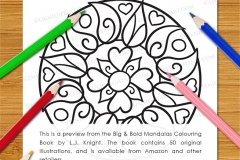 Big & Bold Mandalas Colouring Book - Preview