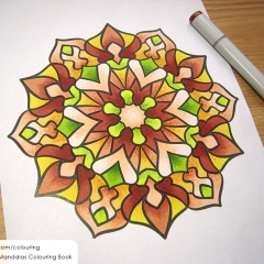 Big & Bold Mandalas - Coloured Page