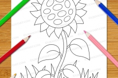 Easy Fun Flowers Colouring Book - Preview