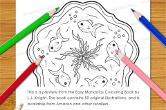 Easy Mandalas Colouring Book - Preview