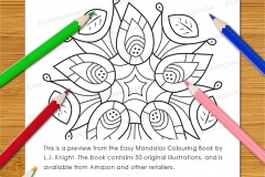Easy Mandalas Colouring Book - Preview