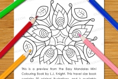 Easy Mandalas Mini Colouring Book - Preview