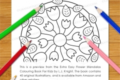 Extra Easy Flower  Mandalas Colouring Book - Preview