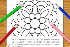 Extra Easy Flower  Mandalas Colouring Book - Preview