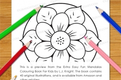 Extra Easy Fun  Mandalas Colouring Book - Preview