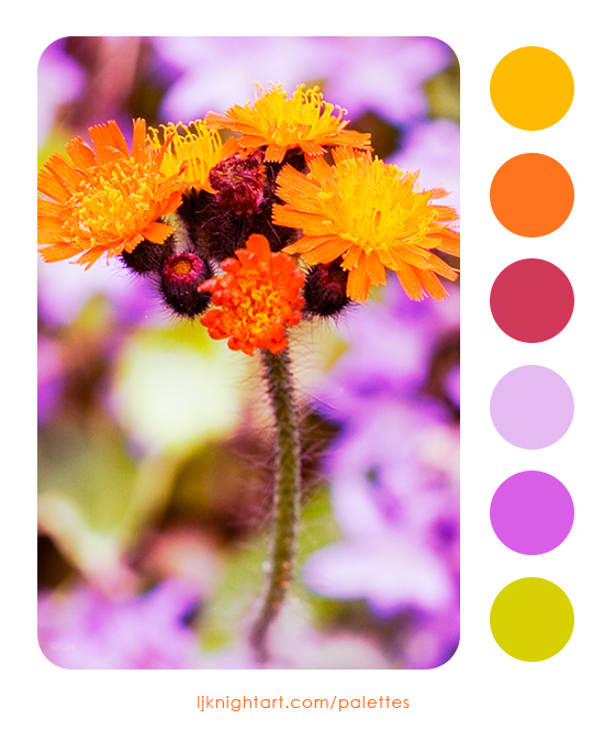 0003-Orange-Flowers-Colour-Palette-LJKnight.jpg