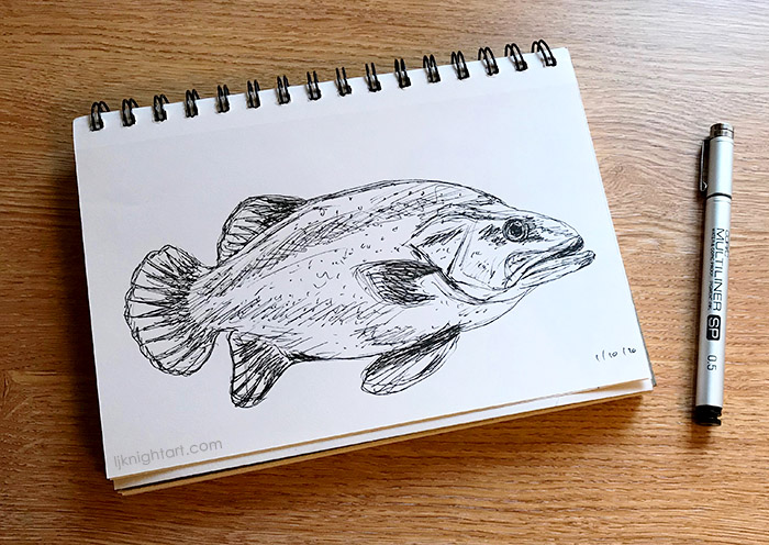 20-10-ljknight-inktober-fish-700.jpg